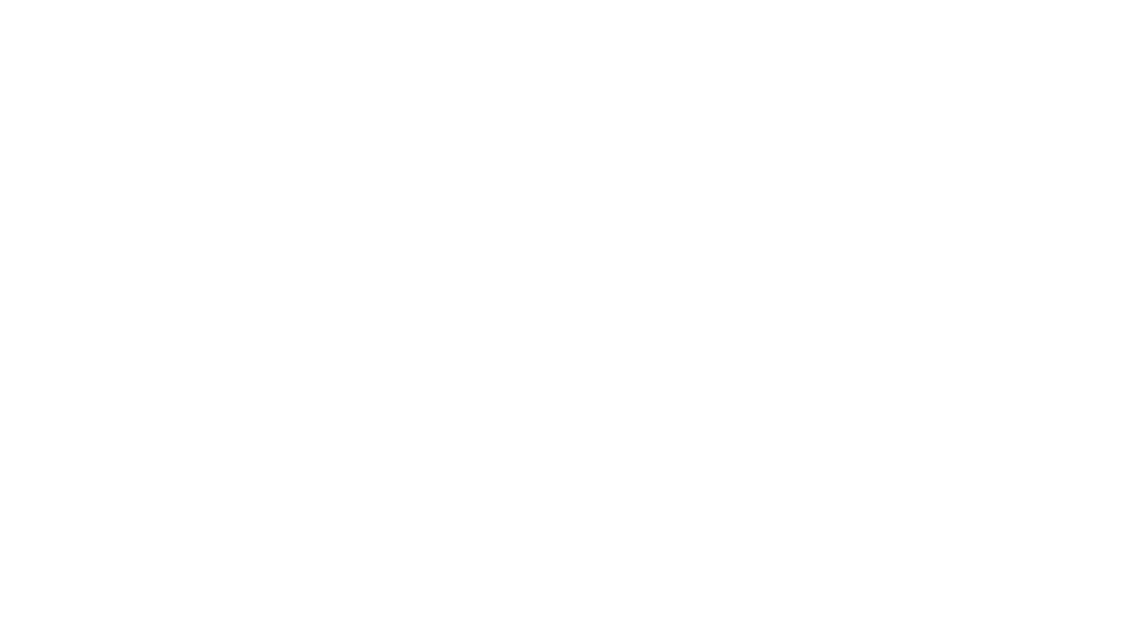 SLM Studio_W